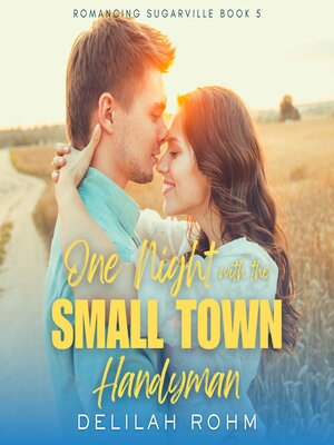 cover image of One Night With the Small Town Handyman